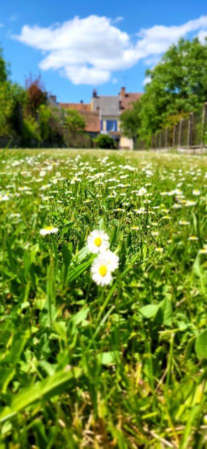 Le Gite Du Nohain Entrains-sur-Nohain Esterno foto
